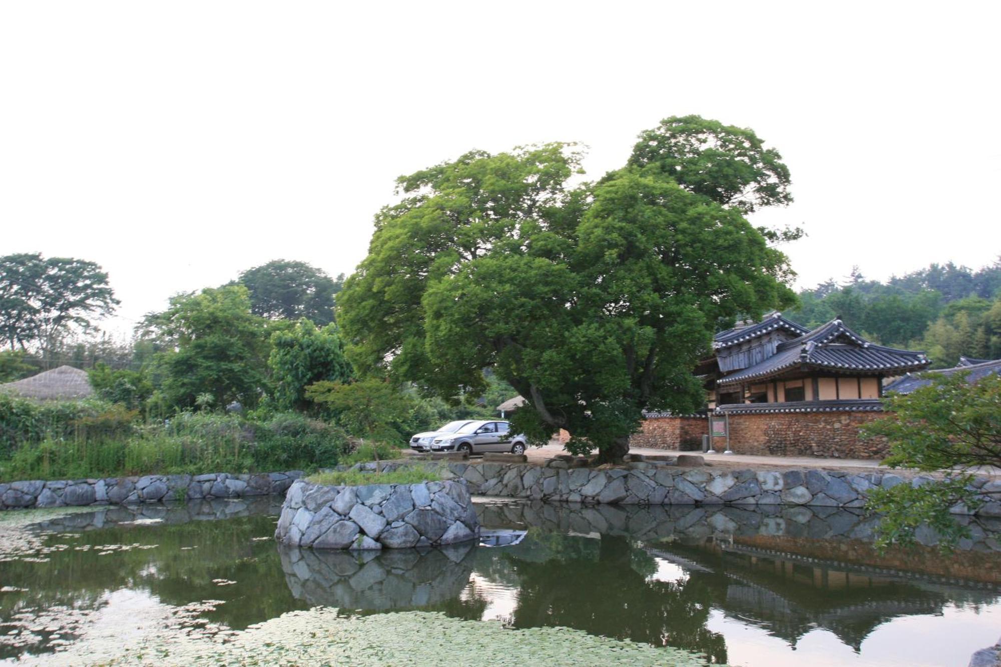 Jinrae Lee'S Traditional House Boseong Exterior photo